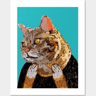 Who Me? Shocked Ginger Cat Posters and Art